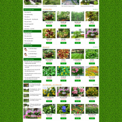 Theme wordpress sạch Cây xanh #MTWP.cayxanh00