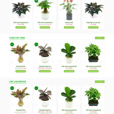 Theme wordpress sạch Chậu cây #MTWP.chaucay02
