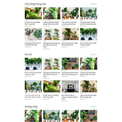 Theme wordpress sạch Tin tức #MTWP.tintuc12